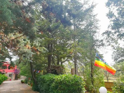 Bed & Breakfast Villa Dan-monopoli