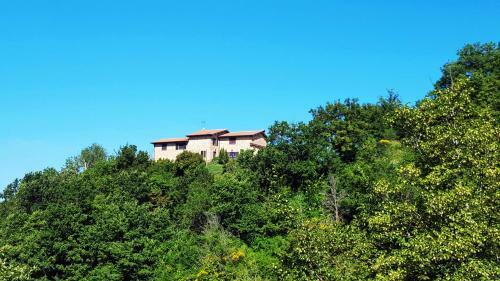 Agroturismo Cannabis Clinic & Restaurant