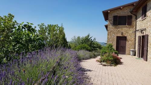 Agroturismo Cannabis Clinic & Restaurant