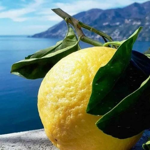Apartamento L'isolotto