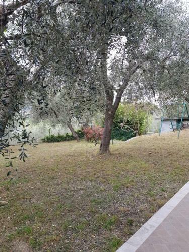 Hostal La Vert Olive