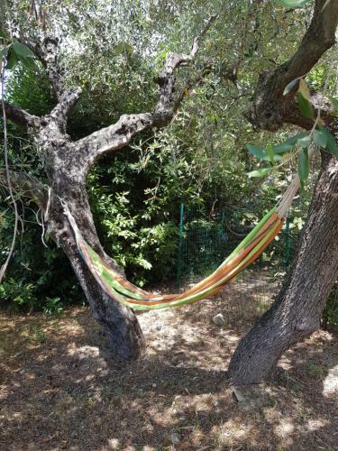 Hostal La Vert Olive