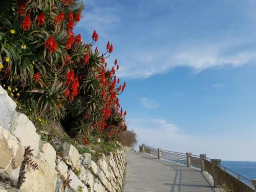 Apartamento Adelebeppe "the Seaview"