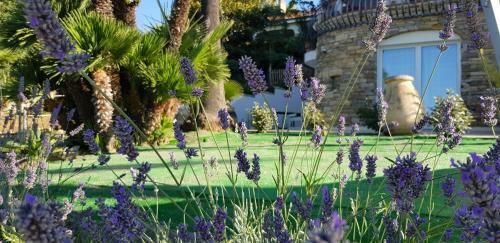 Apartamento Adelebeppe "the Seaview"