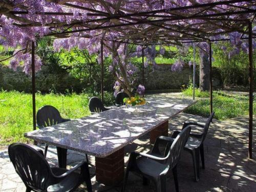Apartamento Le Mimose Bilo4