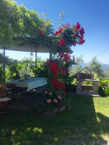 Apartamento Villa Rachele