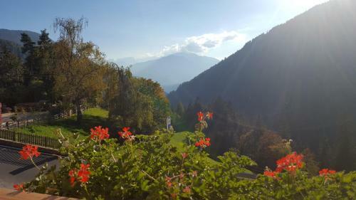 Apartamento Mesnerhof