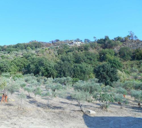 Hotel Podere La Starza