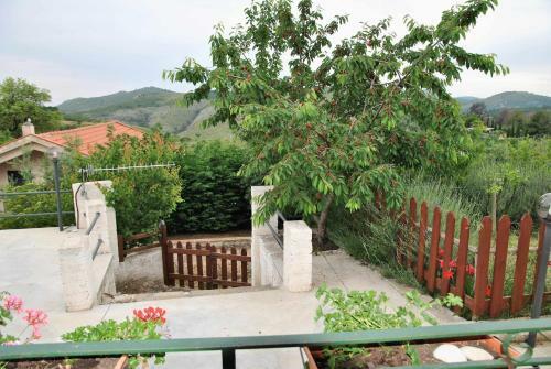 Villa Caterina Un Oasi Di Pace A 10 Minuti Dal Mare