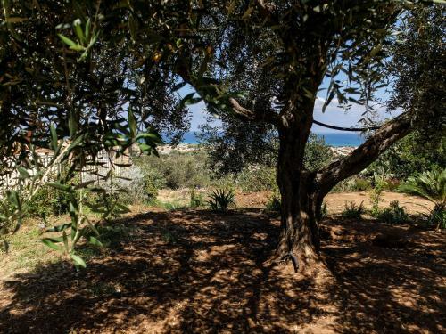 Agroturismo Terrazze Sul Tirreno