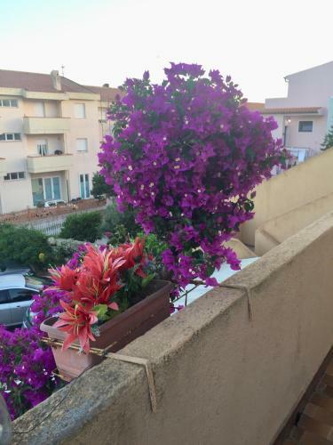 B&B Arcipelago