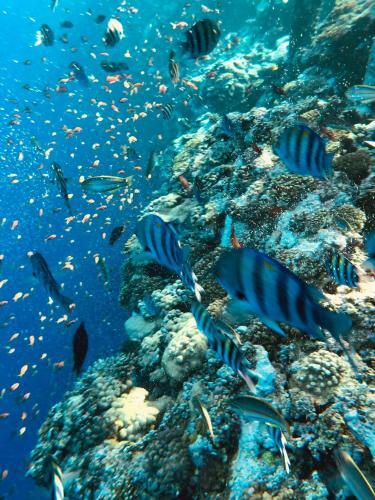 Apartamento Lampedusa Tre Stella Marina