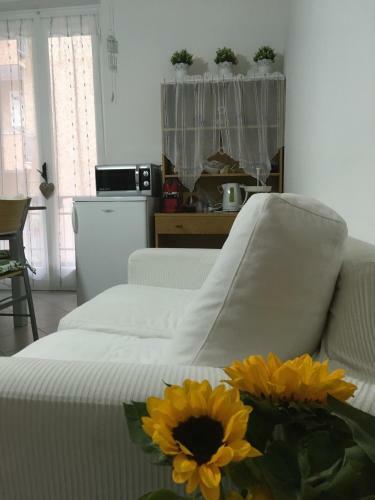 B&B Le Bouganville