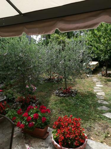 B&B L'ariola