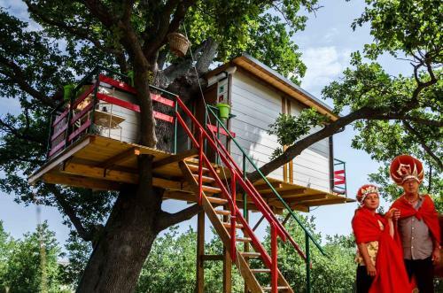 Casa Sull'albero