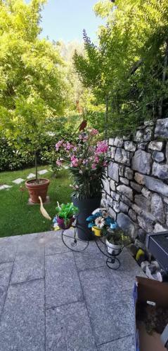 Apartamento Magic Garden Como-pool-jacuzzi And Amazing Lake View