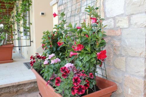 Apartamento Residence Tasso Canossa - Appartamento Con Piscina