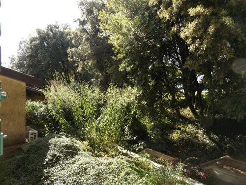 Apartamento Il Piccolo