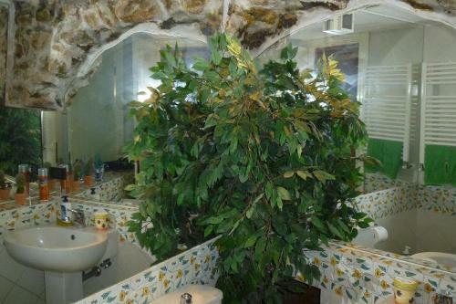 Apartamento Alla Marina