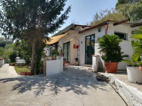Apartamento Raffaela Village Via Scannella N32