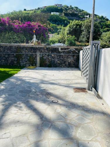 Villa Cycas