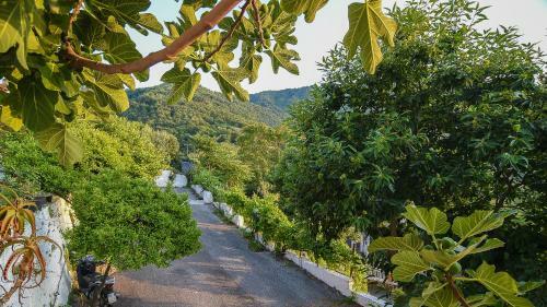 Hostal Iside