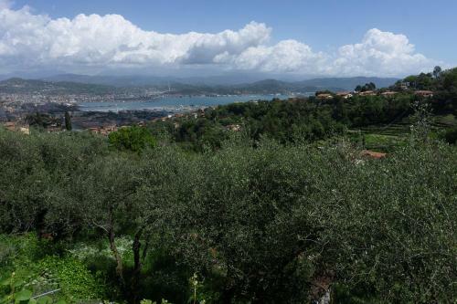 Apartamento Gli Ulivi Sul Golfo E Le 5 Terre