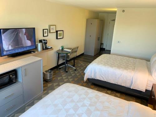 Hotel Holiday Inn Baton Rouge-south