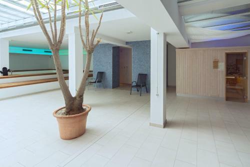 Hotel Friesenhus