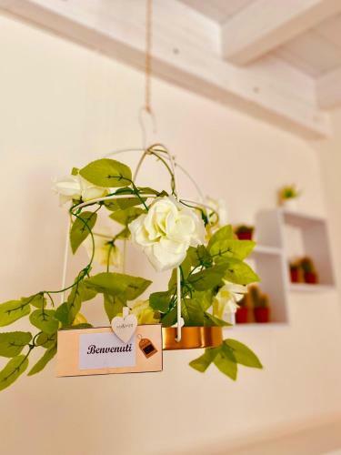 Hostal Bed&go -valigia