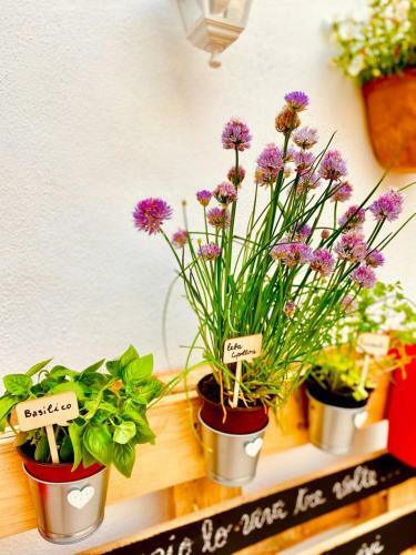 Hostal Bed&go -valigia
