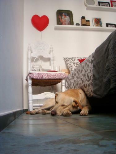 Apartamento Casa Coco