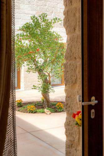 Agroturismo Sitamara