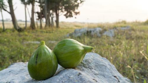 Agroturismo Sitamara