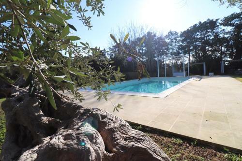Apartamento Dimora Kallist� - Relais Delle Rose