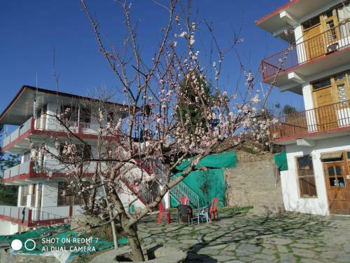 Modern Folkloric Homestay