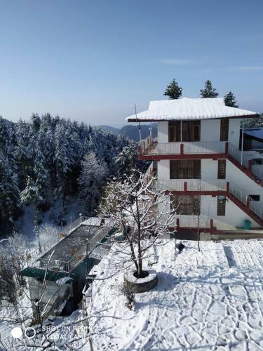 Modern Folkloric Homestay
