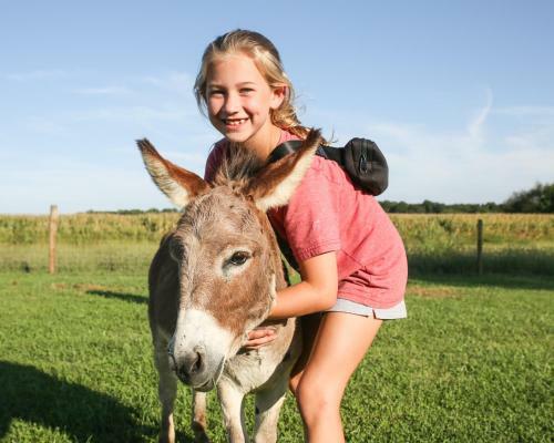 Agroturismo Donkeytown At Turner Farm