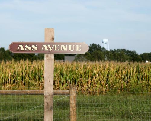 Agroturismo Donkeytown At Turner Farm