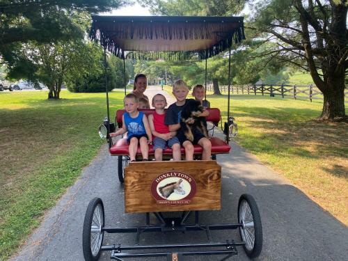 Agroturismo Donkeytown At Turner Farm