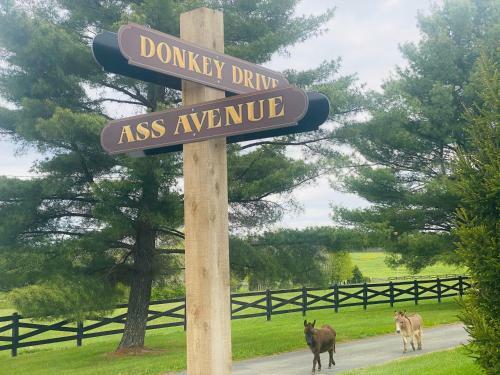 Agroturismo Donkeytown At Turner Farm