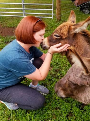 Agroturismo Donkeytown At Turner Farm
