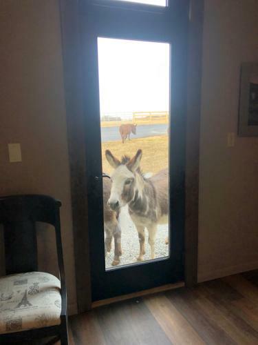 Agroturismo Donkeytown At Turner Farm