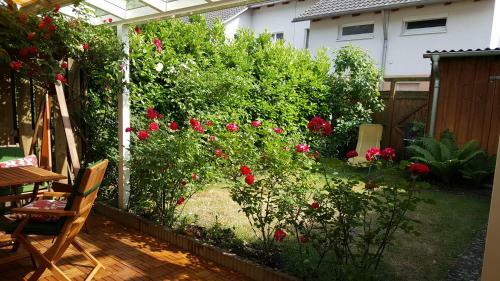 Exklusives Haus Mit Garten