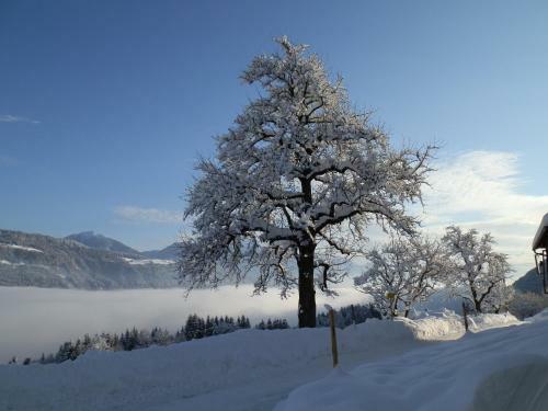 Apartamento Kollerhof