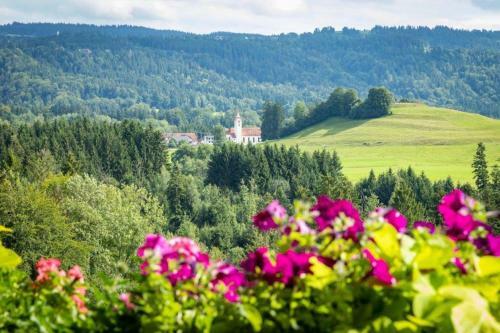 Apartamento Ferienwohnung S�ntisblick