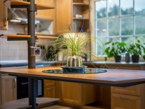 Scenic Apartment In Heringhausen With Terrace