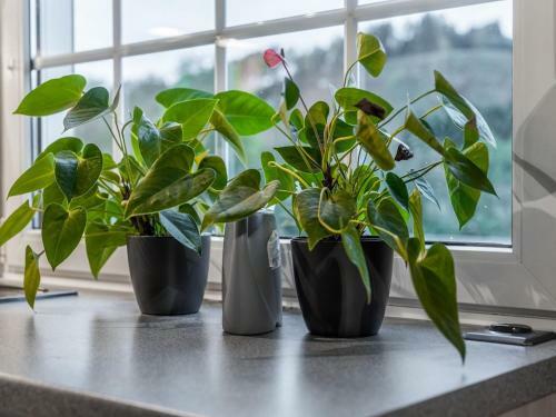 Scenic Apartment In Heringhausen With Terrace