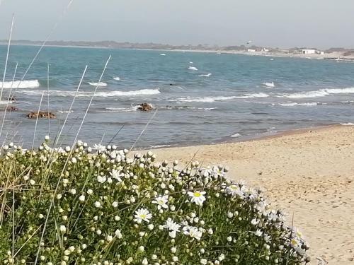 Bed & Breakfast Mattei Domus