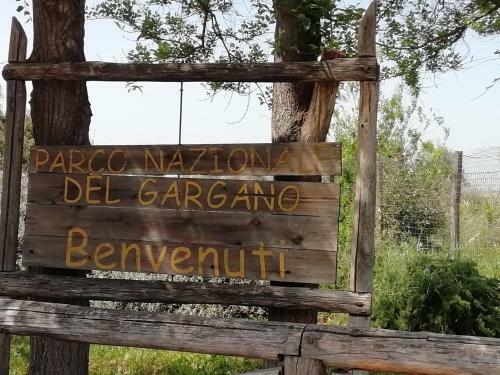 Bed & Breakfast Mattei Domus